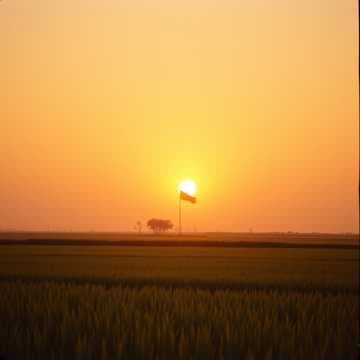 หัวใจที่ภักดี