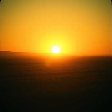 Техно Кобза